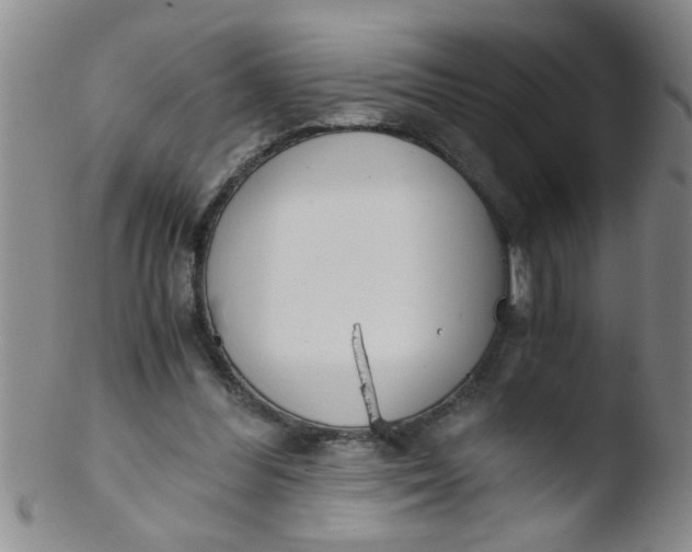 X0000103500300200809262019