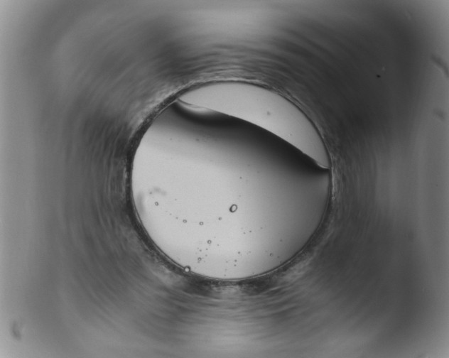 X0000103500301200809262019