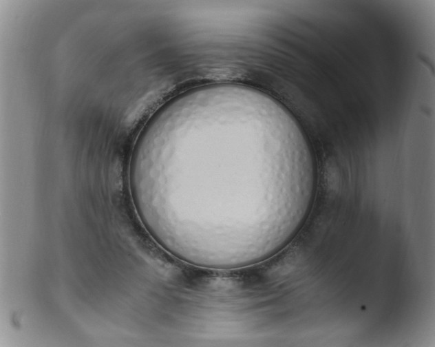 X0000103500303200809262019