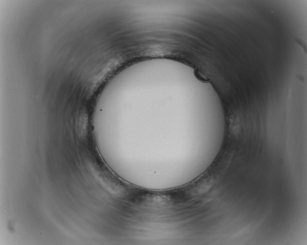 X0000103500304200809262019