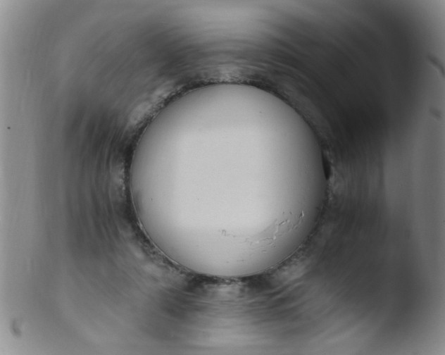 X0000103500306200809262019