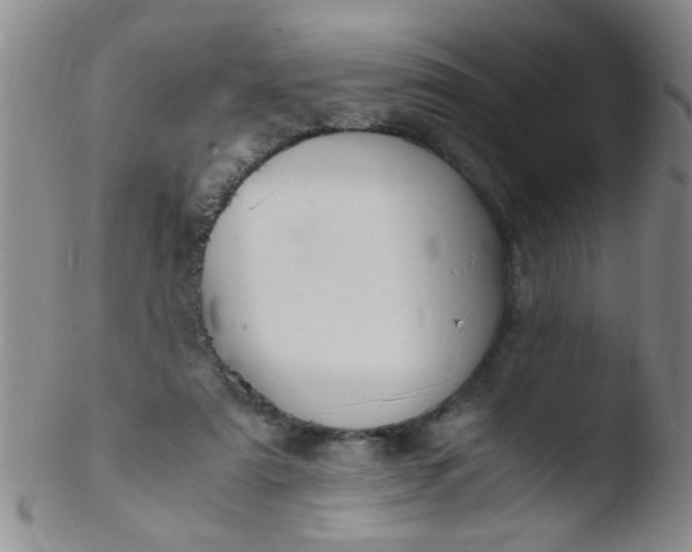 X0000103500307200809262019