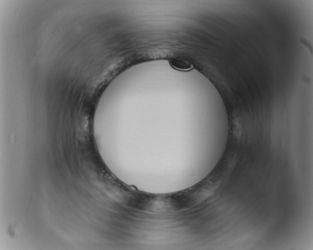 X0000103500308200809262019