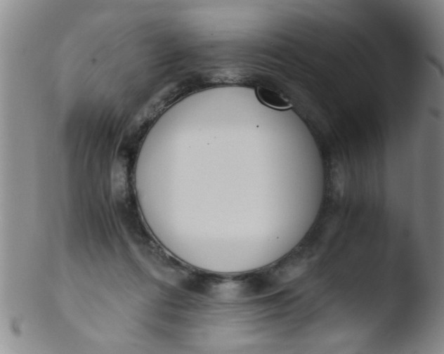 X0000103500312200809262019