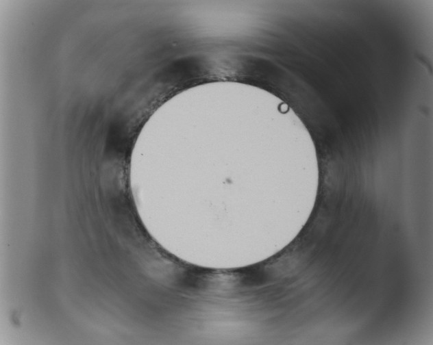 X0000103500313200809262019