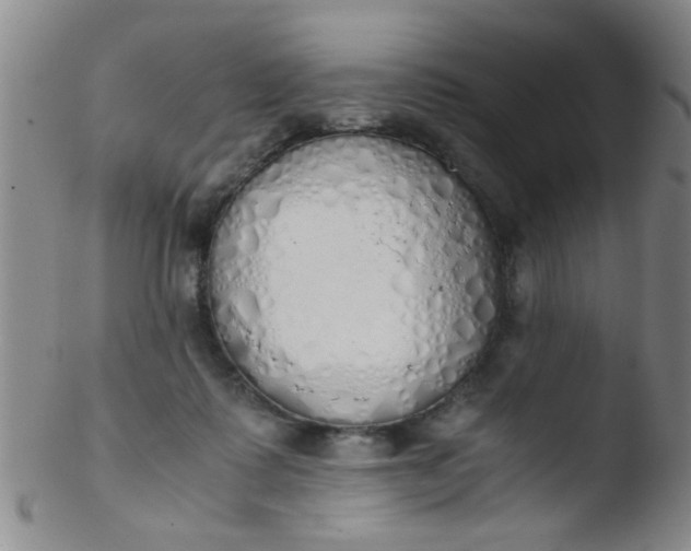 X0000103500315200809262019