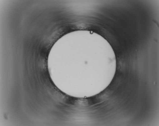 X0000103500317200809262019