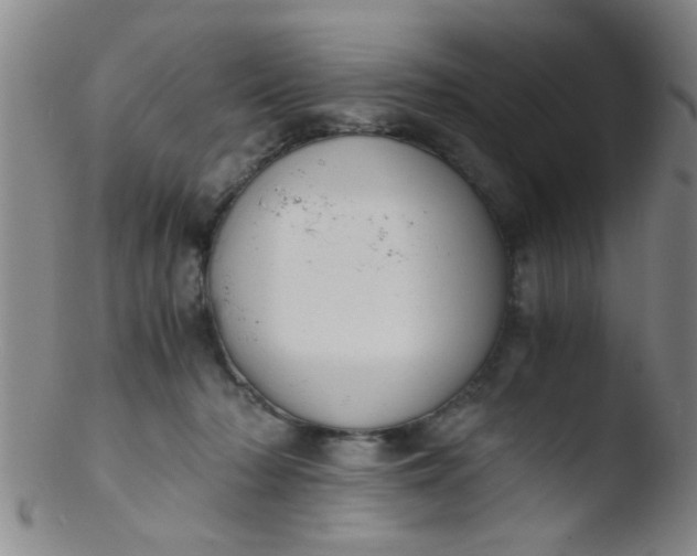 X0000103500318200809262019