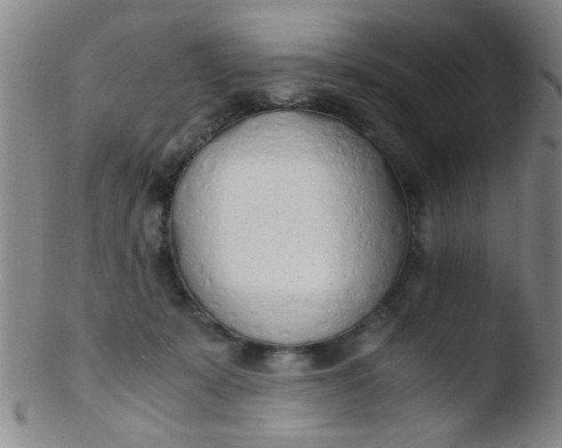 X0000103500319200809262019