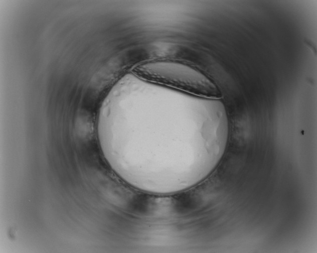 X0000103500324200809262019