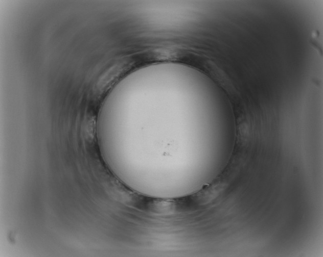 X0000103500325200809262019