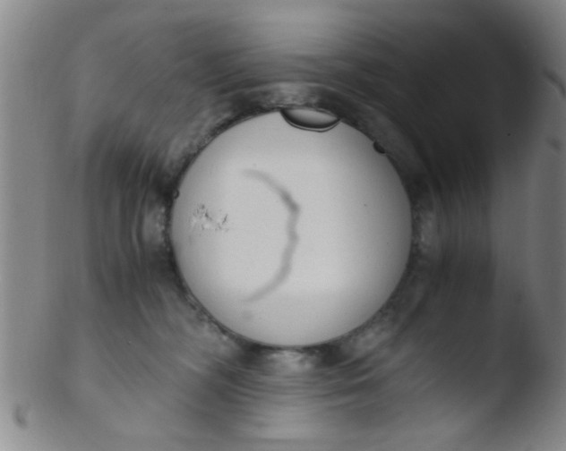 X0000103500326200809262019