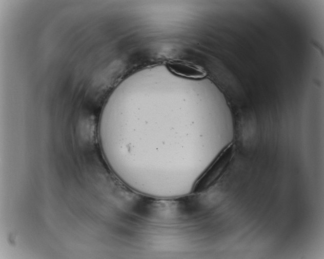 X0000103500328200809262019