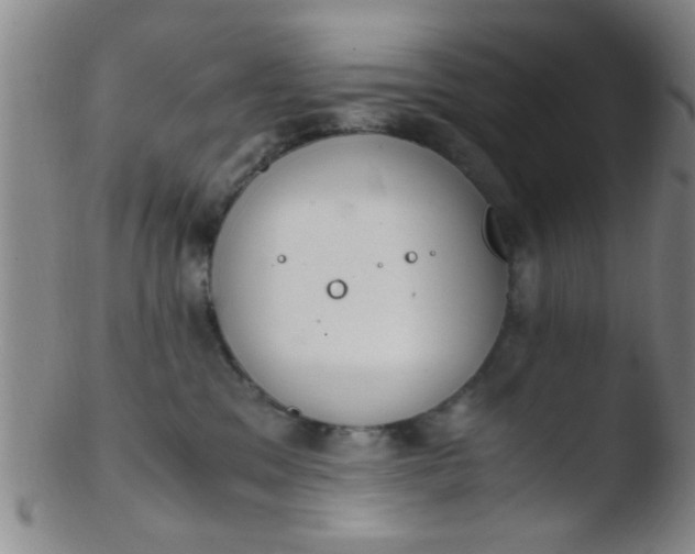 X0000103500329200809262019