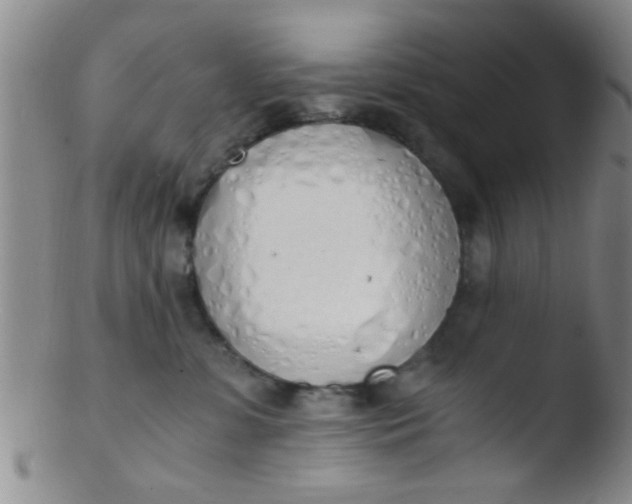 X0000103500331200809262019