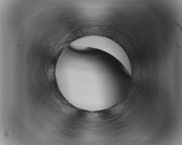 X0000103500332200809262019