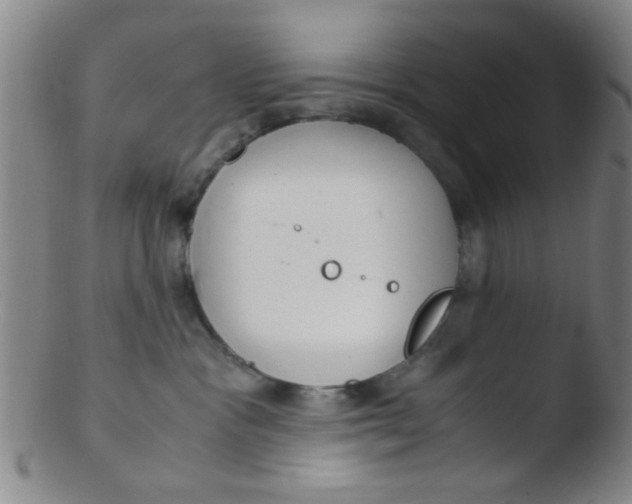 X0000103500333200809262019