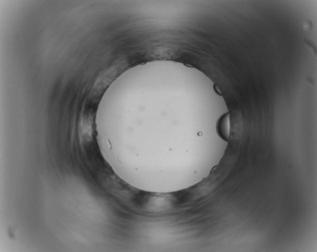 X0000103500334200809262019