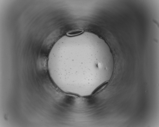 X0000103500336200809262019