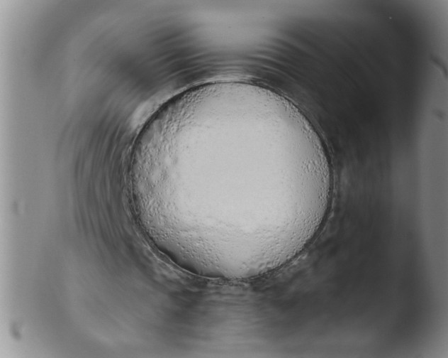 X0000103500337200809262018