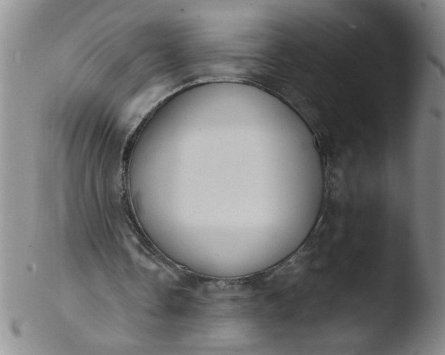 X0000103500338200809262018