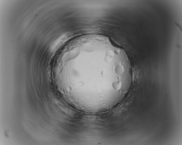 X0000103500339200809262018