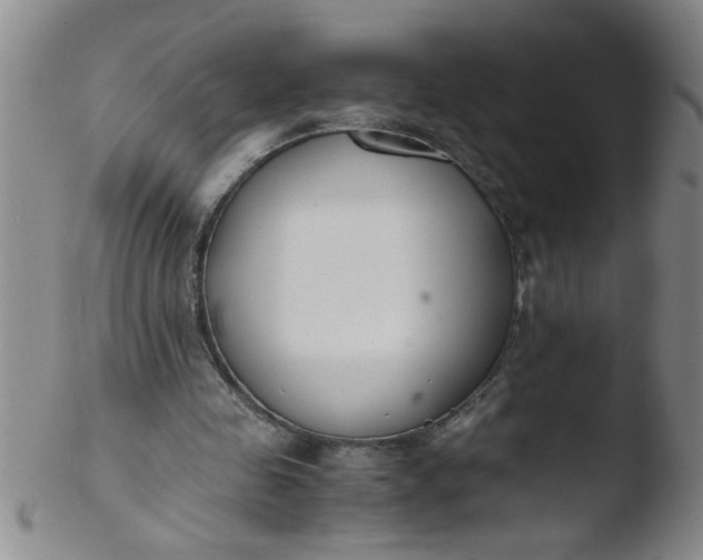 X0000103500341200809262018