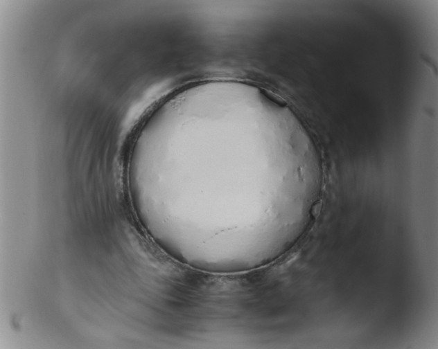 X0000103500343200809262018