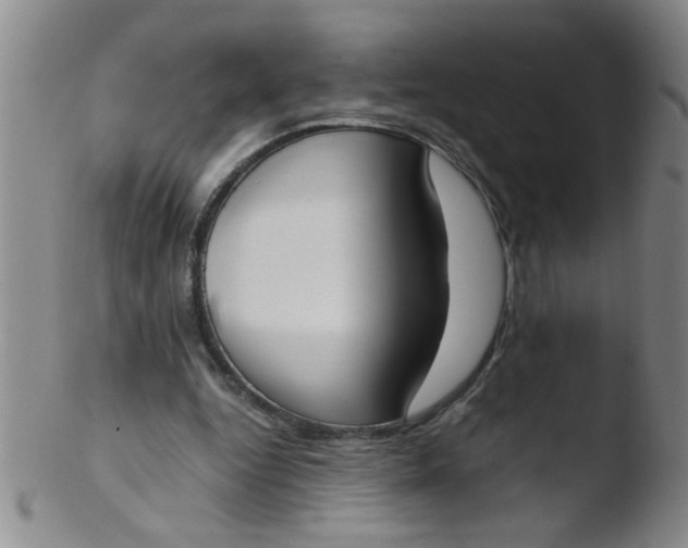 X0000103500344200809262018