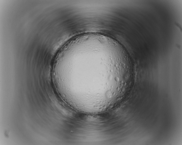 X0000103500346200809262018