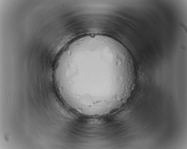 X0000103500347200809262018