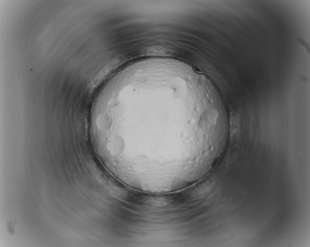 X0000103500349200809262018