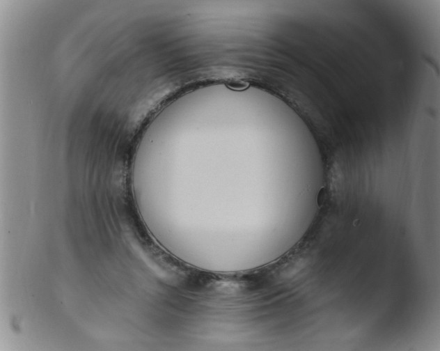 X0000103500352200809262019