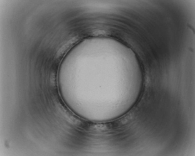 X0000103500353200809262019