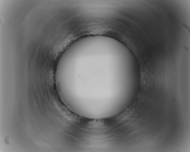 X0000103500354200809262019