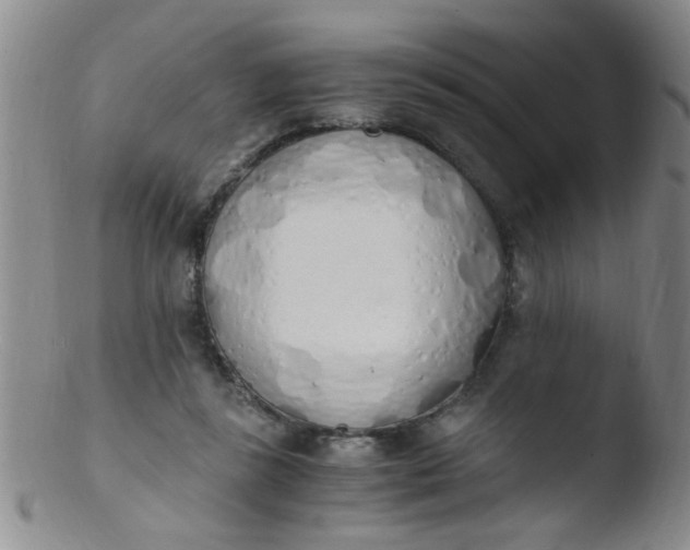 X0000103500355200809262019