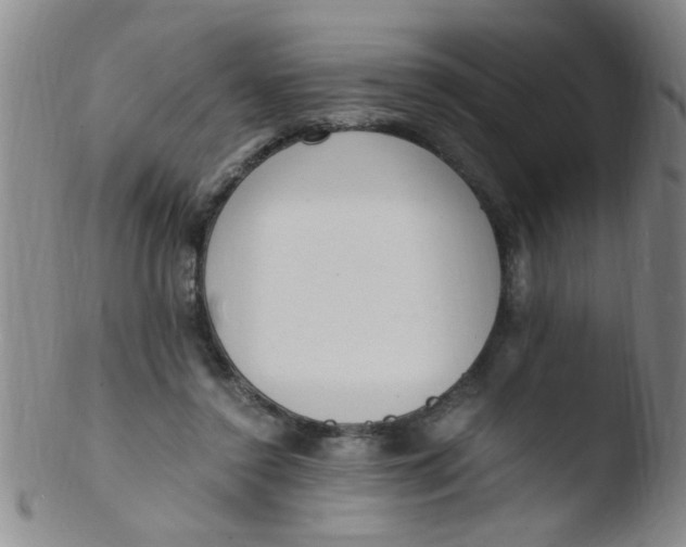 X0000103500356200809262019