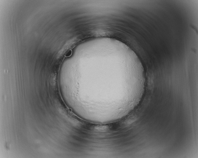 X0000103500357200809262019