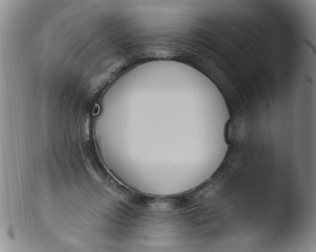 X0000103500358200809262019