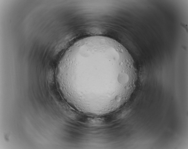 X0000103500359200809262019