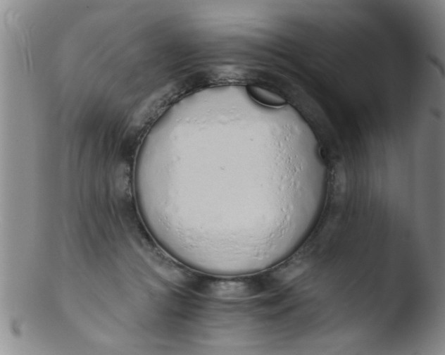 X0000103500361200809262019