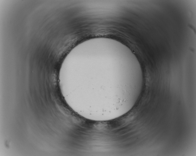 X0000103500362200809262019