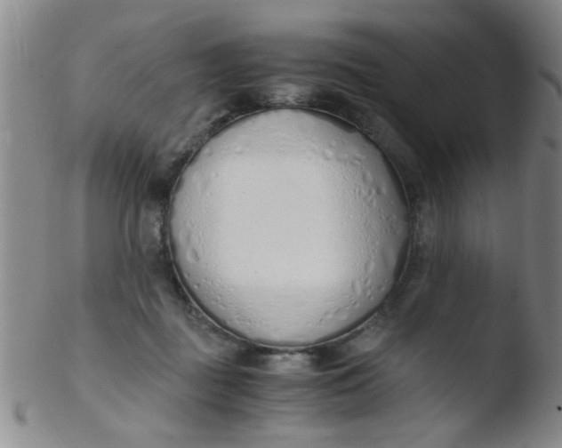 X0000103500363200809262019