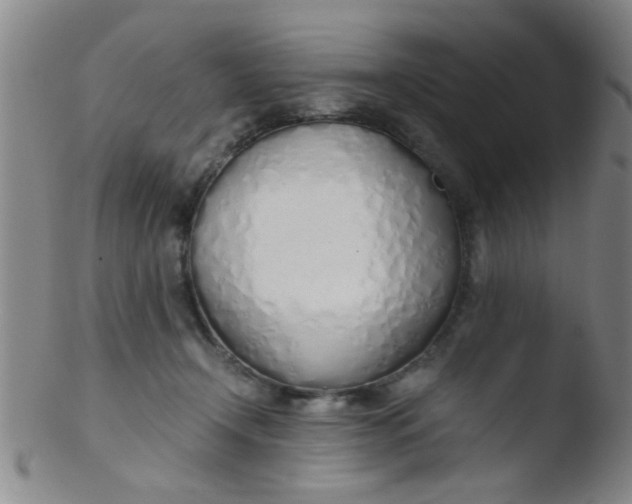 X0000103500366200809262019