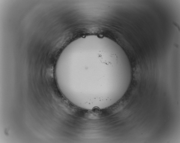 X0000103500368200809262019