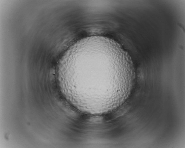 X0000103500369200809262019