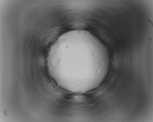 X0000103500371200809262019