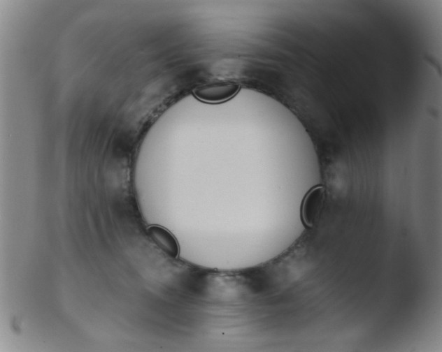 X0000103500372200809262019