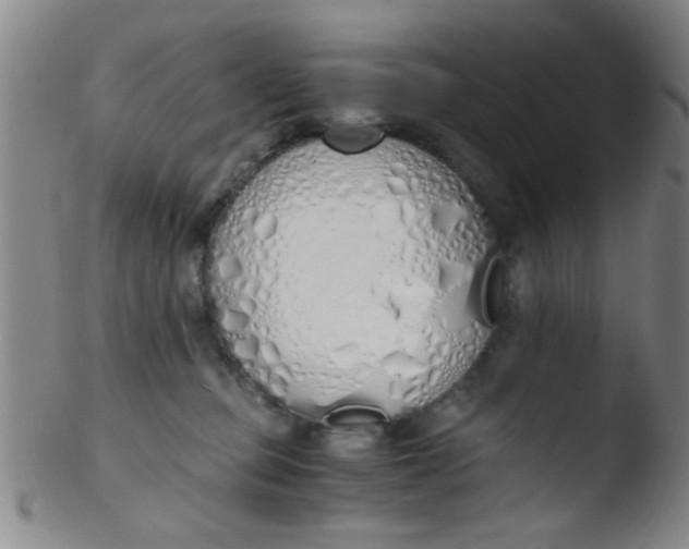 X0000103500373200809262019