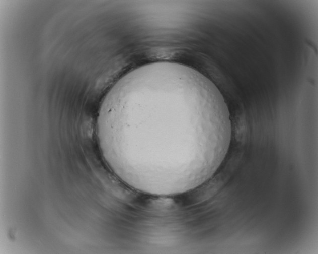 X0000103500374200809262019